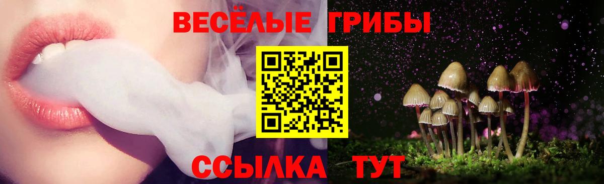 Псилоцибиновые грибы MAGIC MUSHROOMS Чайковский