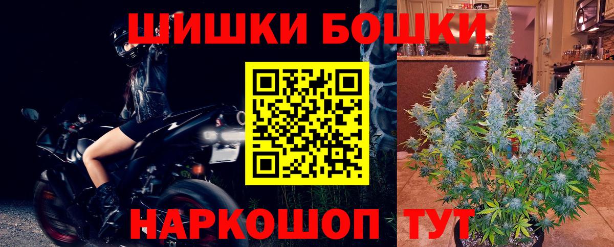Канабис OG Kush Чайковский